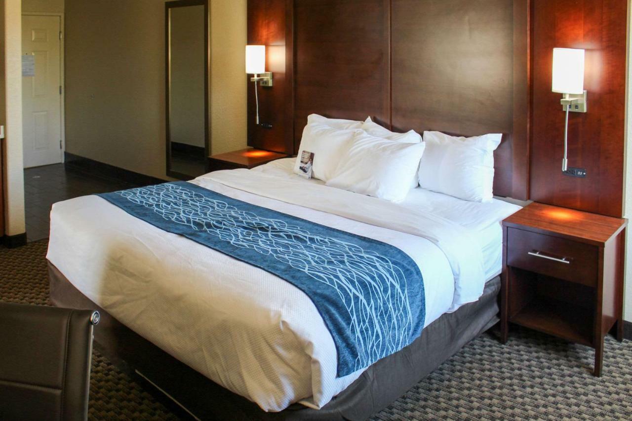 Comfort Inn & Suites Near Six Flags & Medical Center San Antonio Kültér fotó