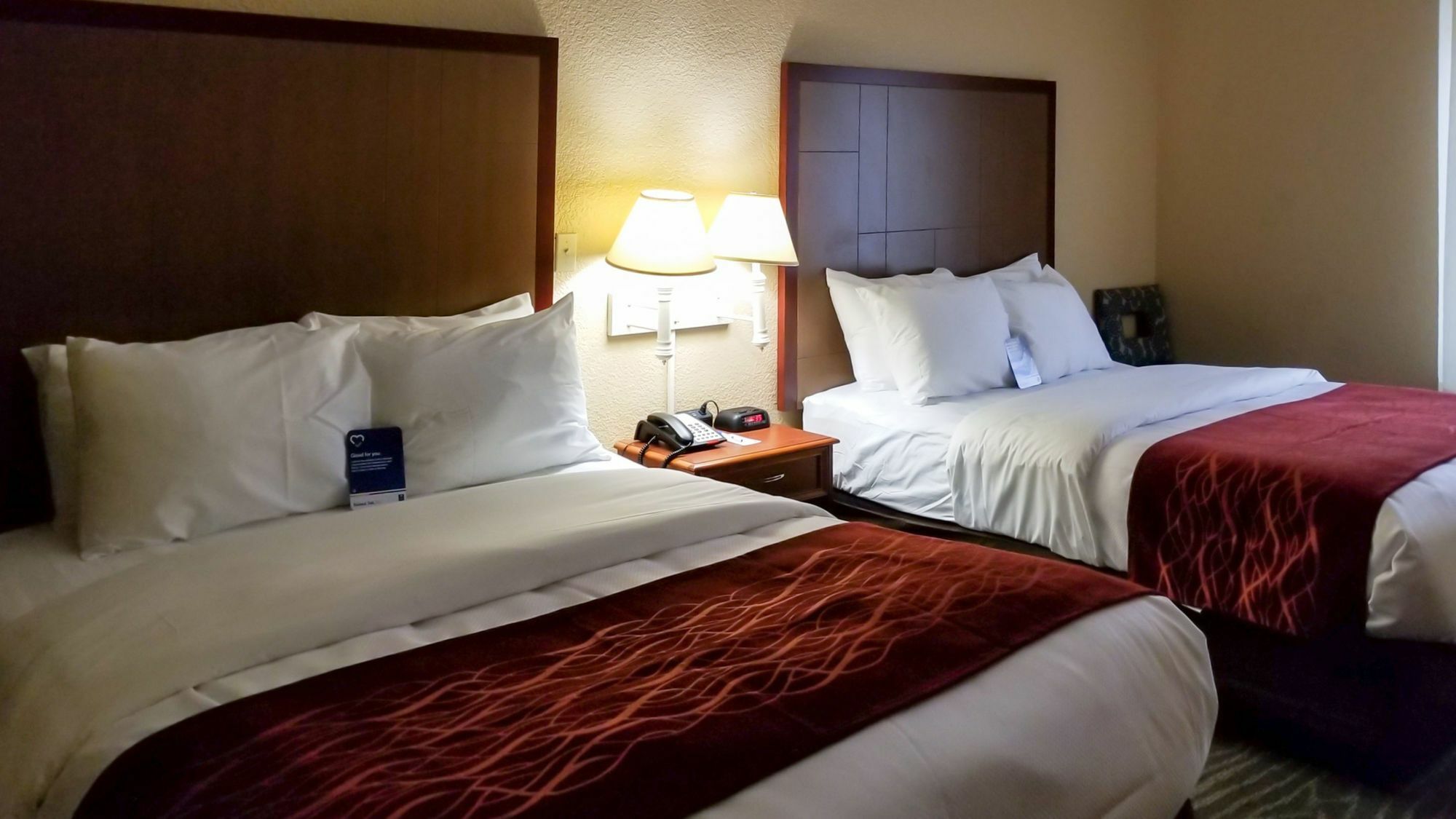 Comfort Inn & Suites Near Six Flags & Medical Center San Antonio Kültér fotó